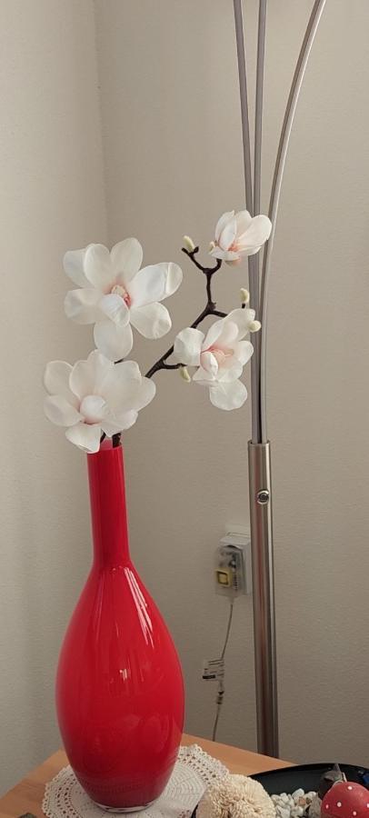 Ferienwohnung Odenwaldblick Momlingen エクステリア 写真